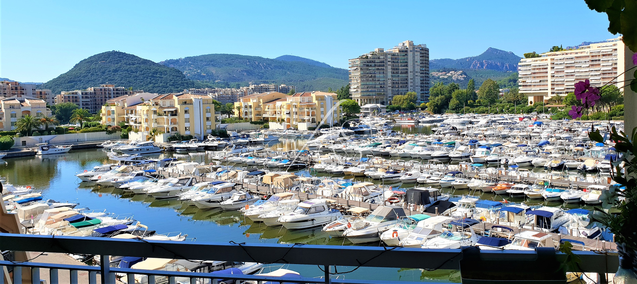 location 3 pièces sur le port de Cannes Marina à Mandelieu As Immobilier